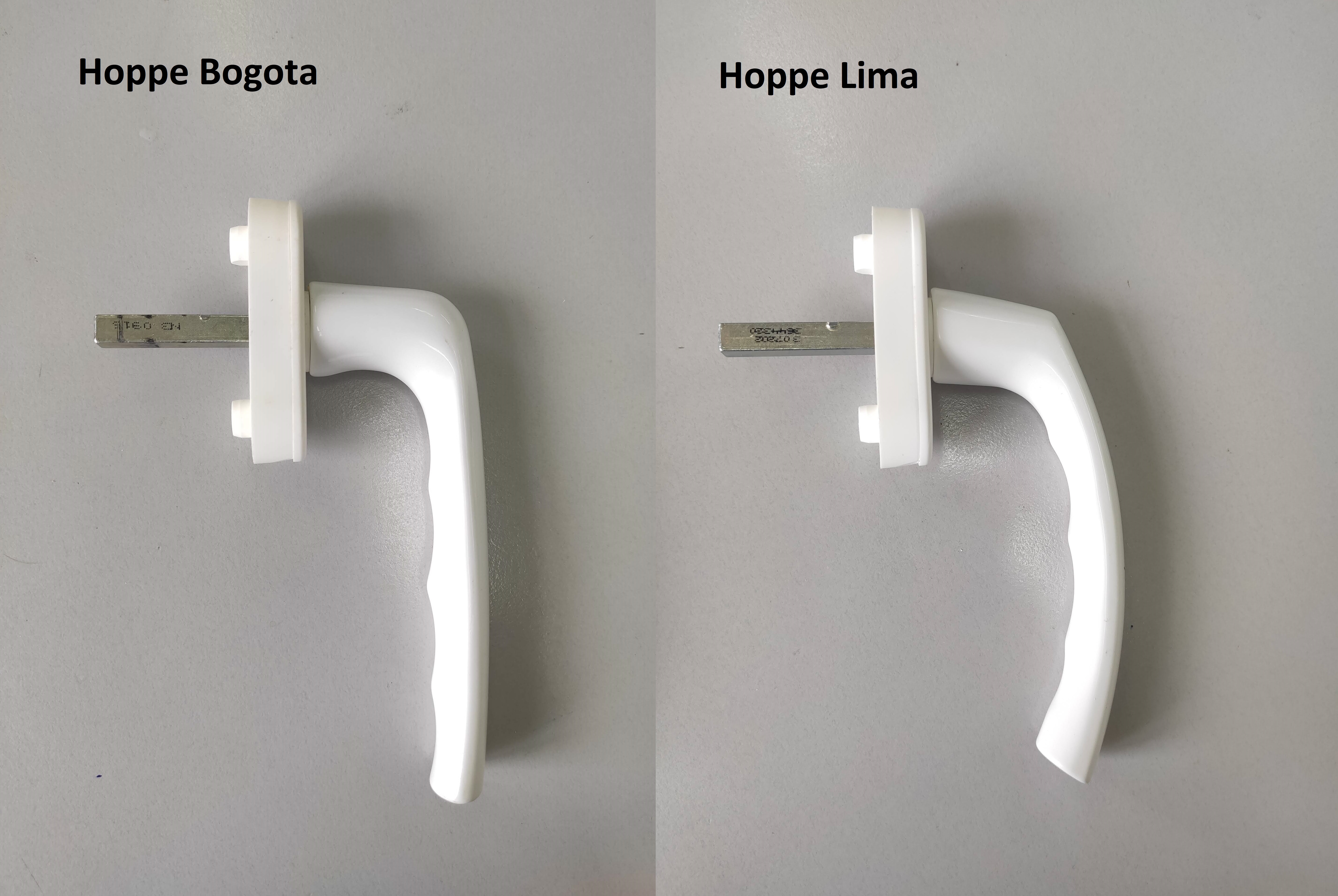 hoppe_lime